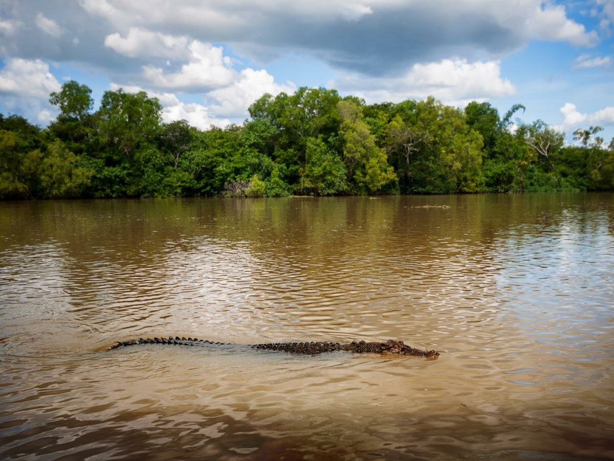 Крокодилова река Северная территория